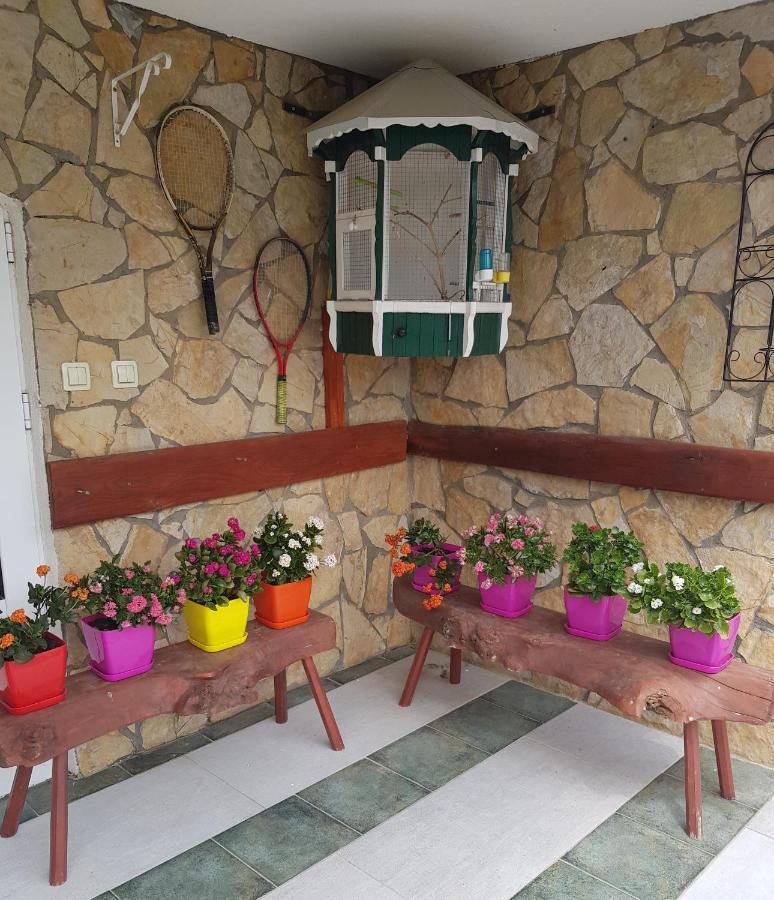 Knez Apartmani Senje Rum bild