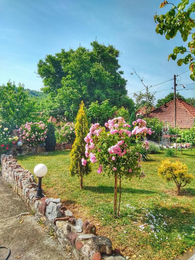 Knez Apartmani Senje Exteriör bild