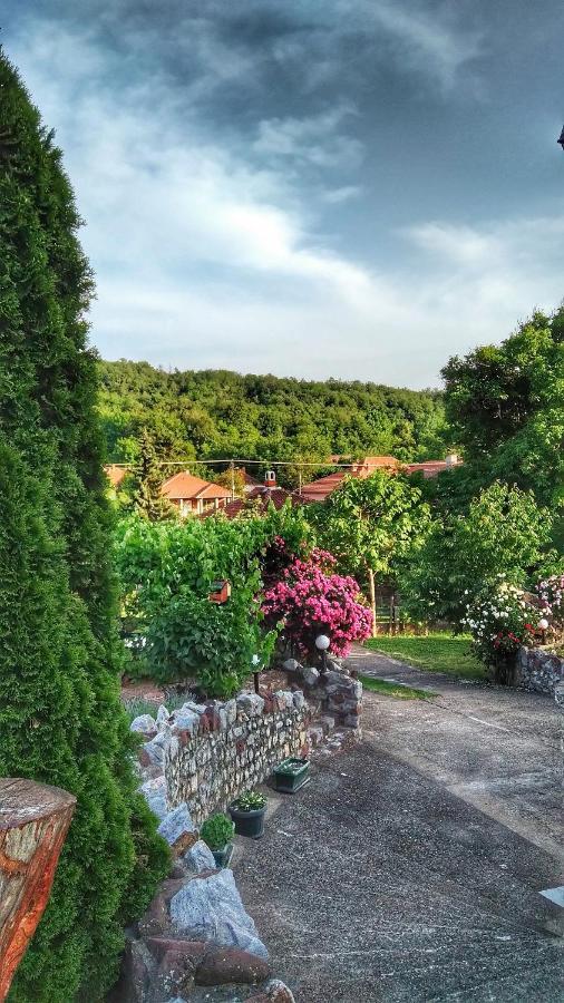 Knez Apartmani Senje Exteriör bild
