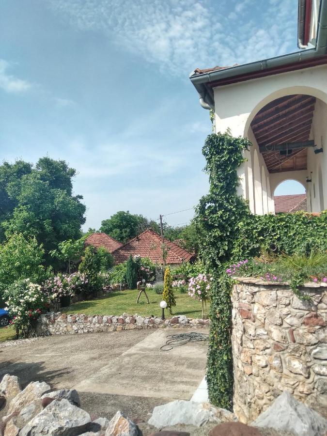 Knez Apartmani Senje Exteriör bild